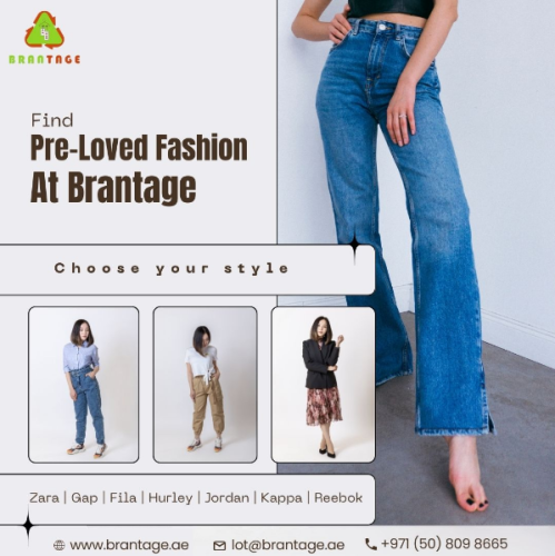 Screenshot 2025-03-13 233759