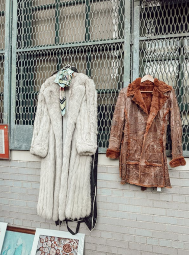 Screenshot 2025-03-15 022011