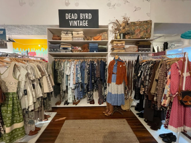 Screenshot 2025-03-18 000208