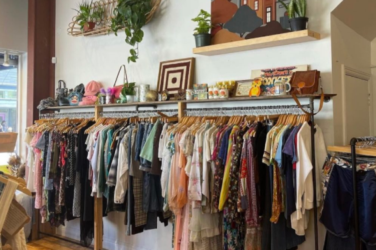 Screenshot 2025-03-18 000929