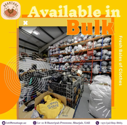 Screenshot 2025-07-22 113109